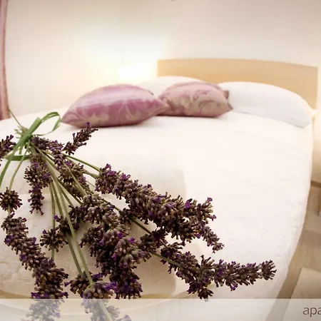 Apartman Murtilica Trogir